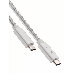 Кабель USB 3.1 Type Cm -- Cm IC 5А 10Gbs длина 1M, Telecom <TC420S> серебряный