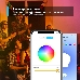 Умная Wi-Fi лампа/ Smart Wi-Fi Light Bulb, Multicolor, 2-Pack