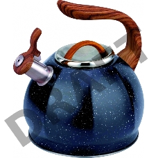 Чайник для плиты TECO TC-122-B, нержавейка, 3,0 л со свистком