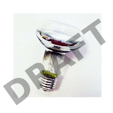 Лампа накаливания ЗК 40Вт R63 230-40 E27 (50) Favor 8105010