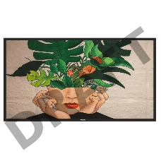 ЖК-панель 55