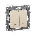 Выключатель 2-клавишный с подсветкой, на винтах, 10АХ, сл. кость