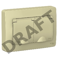 Розетка 2-м СП BLANCA 16А 250В с защ. крышкой защ. шторки с заземл. IP44 беж. SchE BLNRS441127