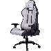 Cooler Master Caliber R2C Gaming Chair Grey