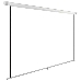 Экран Cactus 220x165см WallExpert CS-PSWE-220x165-WT 1:1 настенно-потолочный рулонный белый
