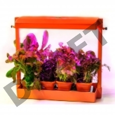 Мини-огород Волтера-Фито домашний, оранжевый (1шт)