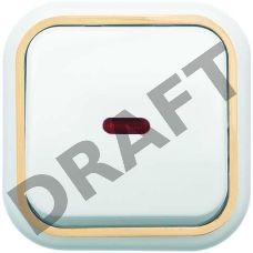 Выключатель 1-кл. ОП Валентина  10А IP20 А16-054 с индик. бел./зол. Кунцево 7633