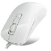 Мышь CROWN CMM-20 white CM000001056 Мышь 