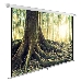 Экран Cactus 220x220см WallExpert CS-PSWE-220x220-WT 1:1 настенно-потолочный рулонный