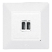Механизм розетки USB 2-м Valena Life 240В/5В 1500мА с лицевой панелью бел. Leg 753412
