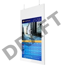 Профессиональный дисплей GoodView 55