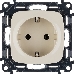 Механизм розетки Valena Allure 16А 250В 2К+З с лицевой панелью безвинт. зажимы сл. кость Leg 753821