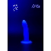 Светящийся в темноте дилдо Rave Neon Driver 5012-02lola