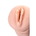 Мастурбатор реалистичный вагина Olive, XISE, TPR, телесный, 16.4 см.