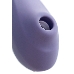 Вакуум-волновой бесконтактный стимулятор клитора Satisfyer Dual Pleasure, силикон, лиловый, 17,9 см.