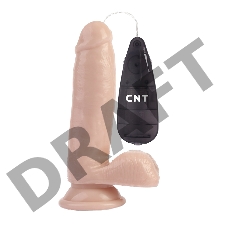 Вибратор CNT 6.7'' Stud Realistic Dildo CNT-180087F