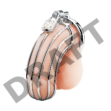 Металлическая клетка Prisoner Cock Сage с замком